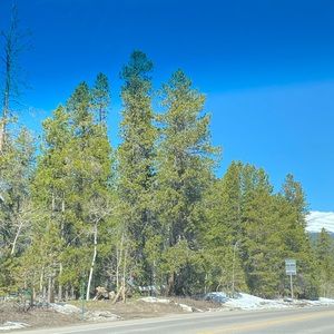 Meet your Posher, Luz